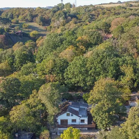 Egon 41 Klosterneuburg